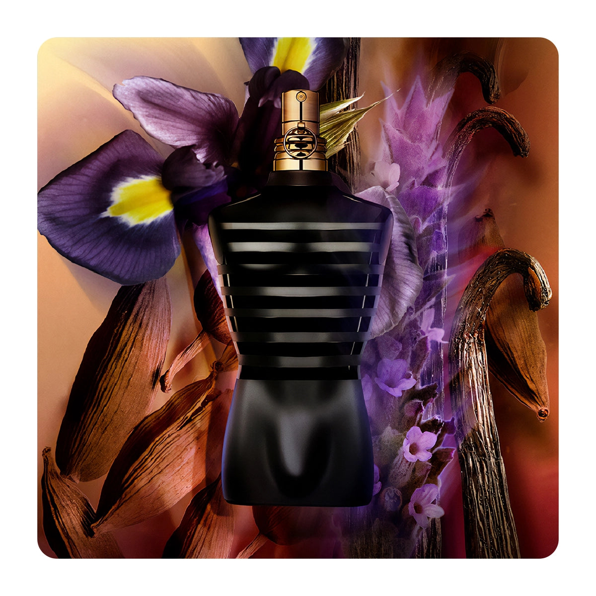 Jean Paul Gaultier Le Male Le Parfum Eau de Parfum Intense 2.5 / 4.2 oz