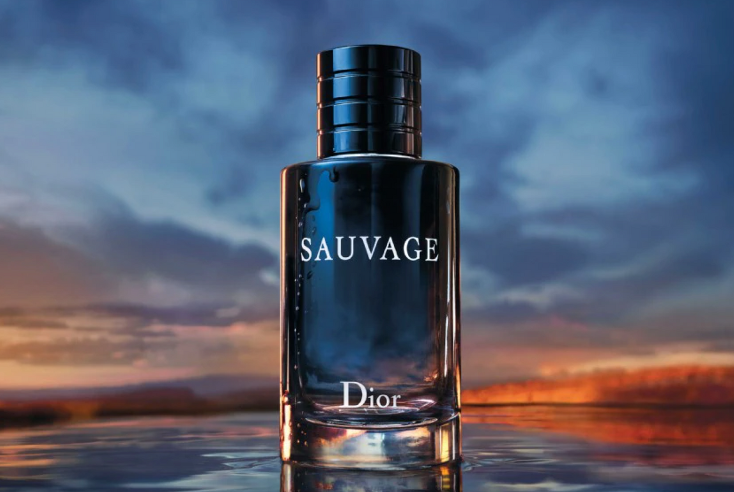 DIOR SAUVAGE 2.0 EDP SPR - dejavuperfumes, perfumes, fragrances